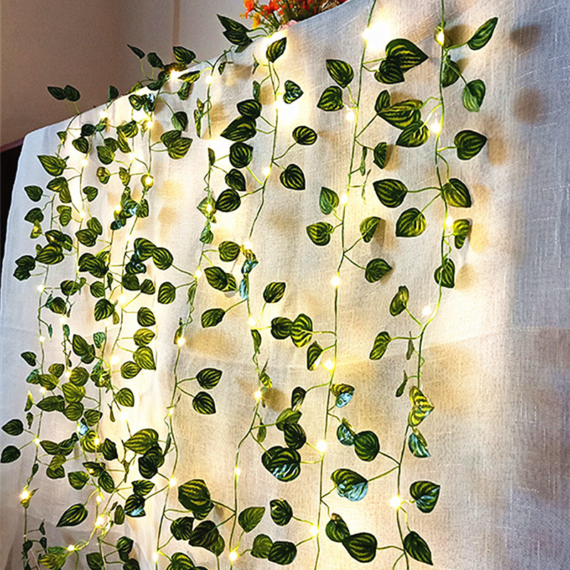 Wedding Decoration Battery Ope - Fairy Light Curtain 评论和价格